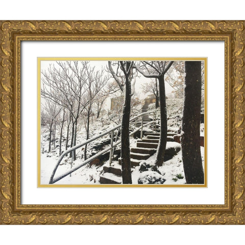 Jerome Snowy Stairs I Gold Ornate Wood Framed Art Print with Double Matting by Popcorn