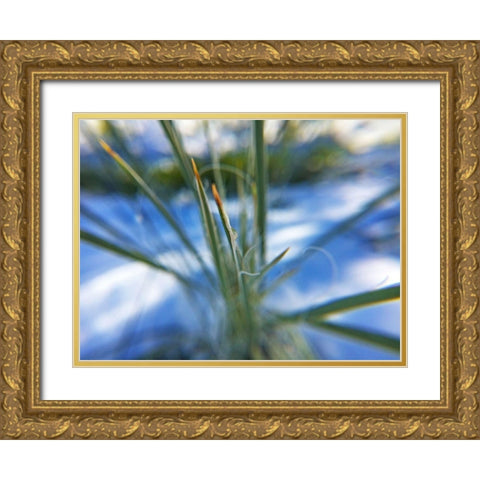 Snow in the Desert Gold Ornate Wood Framed Art Print with Double Matting by Popcorn