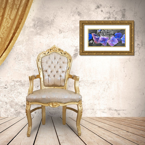 Hydrangea B/W Gold Ornate Wood Framed Art Print with Double Matting by Tenoever, William