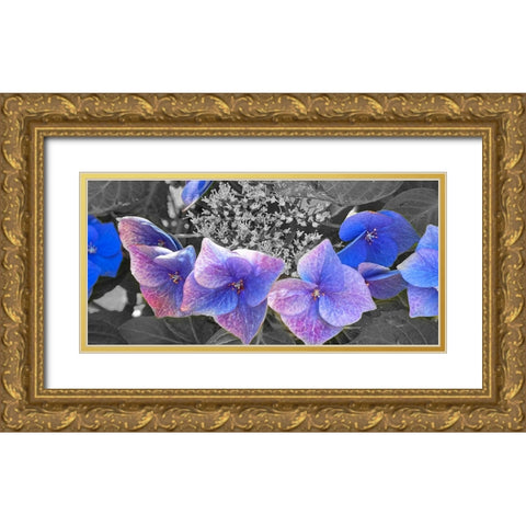 Hydrangea B/W Gold Ornate Wood Framed Art Print with Double Matting by Tenoever, William
