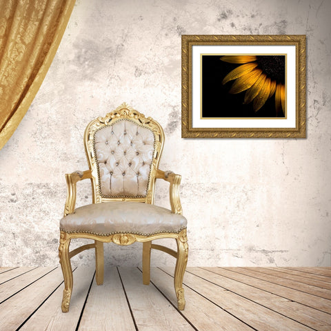 Sunflower Detail II Gold Ornate Wood Framed Art Print with Double Matting by Carson, Brian