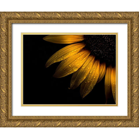 Sunflower Detail II Gold Ornate Wood Framed Art Print with Double Matting by Carson, Brian