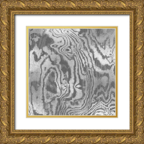 Silver Variations I Gold Ornate Wood Framed Art Print with Double Matting by Carson, Danielle