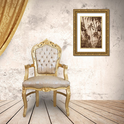 Trade Winds I Gold Ornate Wood Framed Art Print with Double Matting by Seba, John