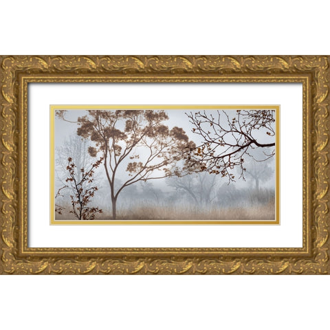 Early Morning Mist II Gold Ornate Wood Framed Art Print with Double Matting by Seba, John