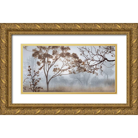 Early Morning Mist II Gold Ornate Wood Framed Art Print with Double Matting by Seba, John