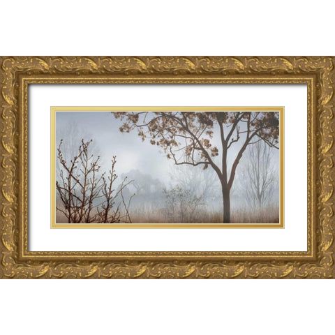 Early Morning Mist I Gold Ornate Wood Framed Art Print with Double Matting by Seba, John