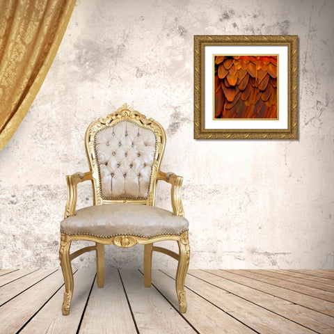 Feathered Friend - Burnt Orang Gold Ornate Wood Framed Art Print with Double Matting by Bosco, Julia