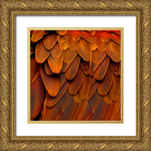 Feathered Friend - Burnt Orang Gold Ornate Wood Framed Art Print with Double Matting by Bosco, Julia