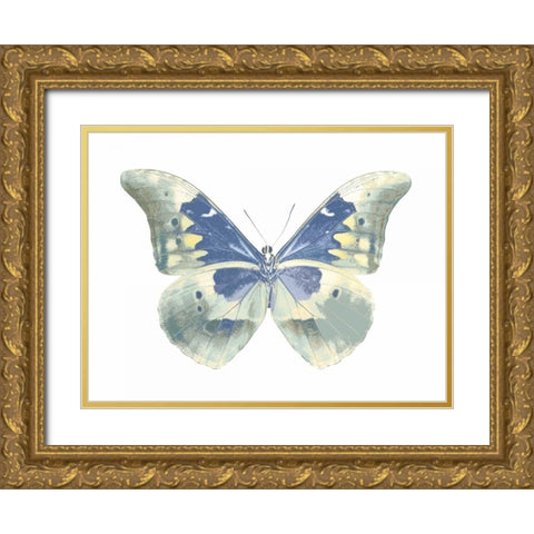 Butterfly in Aqua II Gold Ornate Wood Framed Art Print with Double Matting by Bosco, Julia