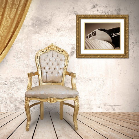 Cock Pit II Gold Ornate Wood Framed Art Print with Double Matting by Slemp, John
