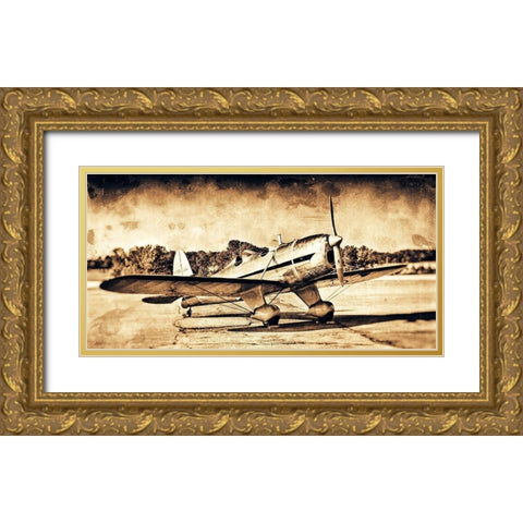 Mono Plane I Gold Ornate Wood Framed Art Print with Double Matting by Slemp, John