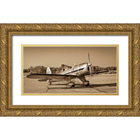 Mono Plane II Gold Ornate Wood Framed Art Print with Double Matting by Slemp, John