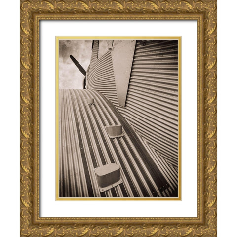 Airplane View Gold Ornate Wood Framed Art Print with Double Matting by Slemp, John