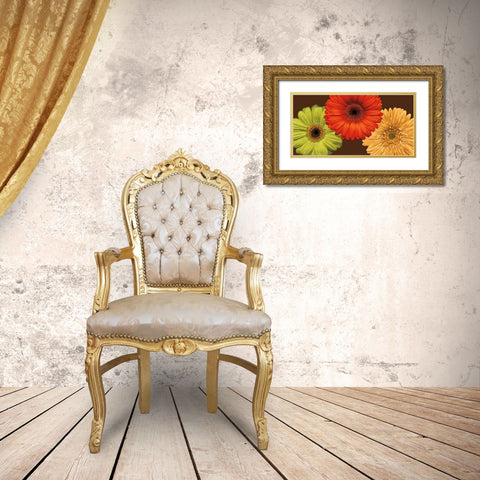 Daisy Trio Gold Ornate Wood Framed Art Print with Double Matting by Blake, Lindsay