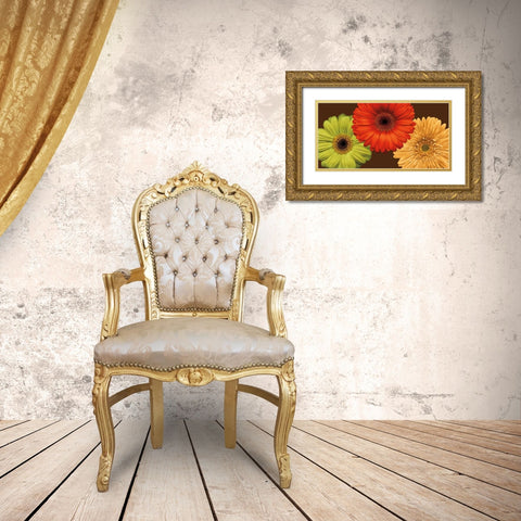 Daisy Trio Gold Ornate Wood Framed Art Print with Double Matting by Blake, Lindsay