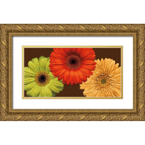 Daisy Trio Gold Ornate Wood Framed Art Print with Double Matting by Blake, Lindsay