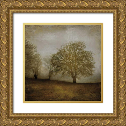 Morning Meditation II Gold Ornate Wood Framed Art Print with Double Matting by Clark, Madeline