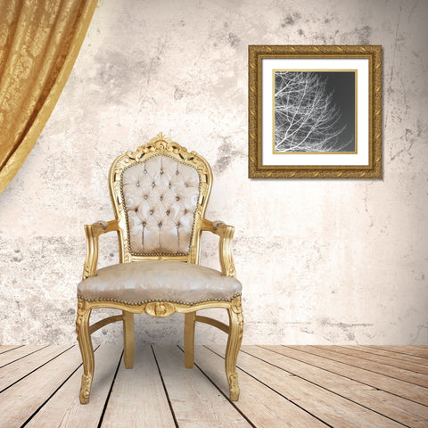 Tree Silhouette III White on Gray Gold Ornate Wood Framed Art Print with Double Matting by Pollard, David