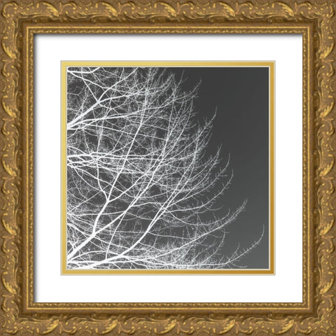 Tree Silhouette III White on Gray Gold Ornate Wood Framed Art Print with Double Matting by Pollard, David