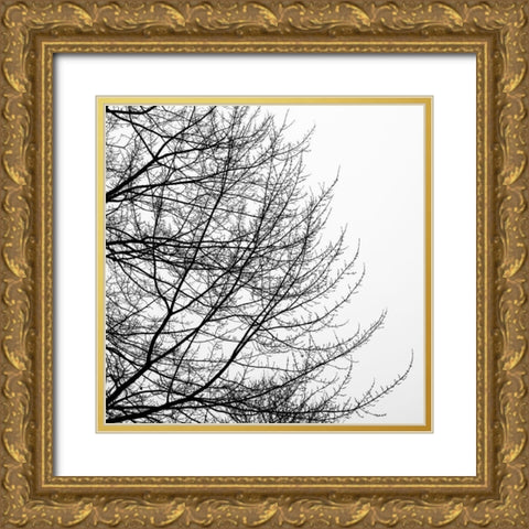 Tree Silhouette II Black on White Gold Ornate Wood Framed Art Print with Double Matting by Pollard, David