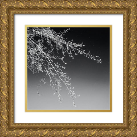 Tree Silhouette I White on Medium Gray Gold Ornate Wood Framed Art Print with Double Matting by Pollard, David