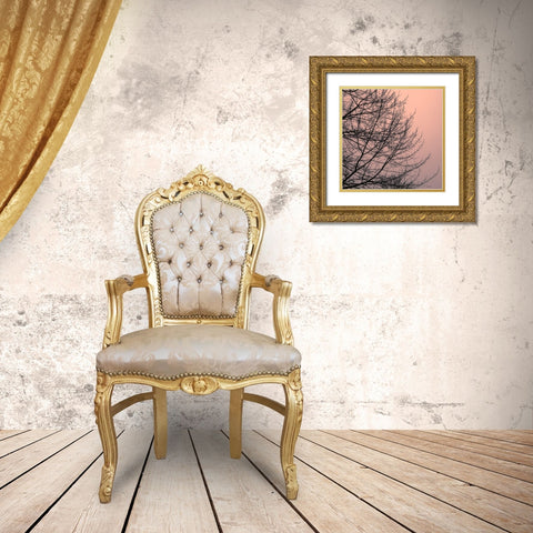 Tree Silhouette II Black on Pink Gold Ornate Wood Framed Art Print with Double Matting by Pollard, David
