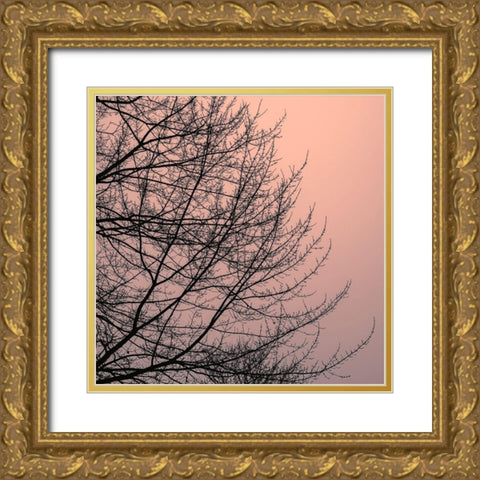 Tree Silhouette II Black on Pink Gold Ornate Wood Framed Art Print with Double Matting by Pollard, David
