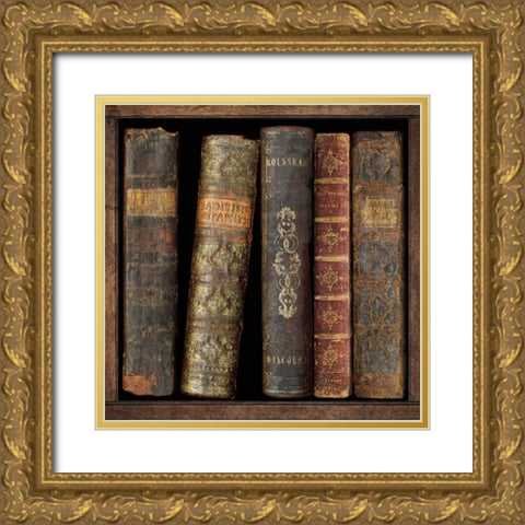 In The Library II Gold Ornate Wood Framed Art Print with Double Matting by Brennan, Russell