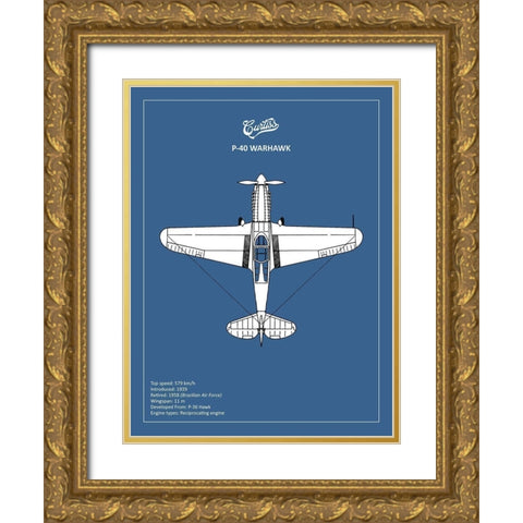 BP P-40 Warhawk  Gold Ornate Wood Framed Art Print with Double Matting by Rogan, Mark