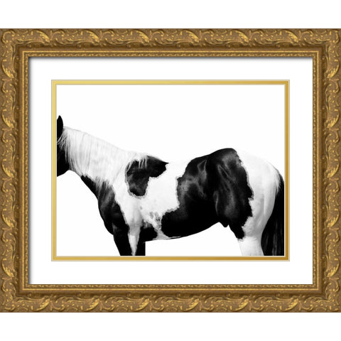 Pinto Gold Ornate Wood Framed Art Print with Double Matting by Carter, Samantha