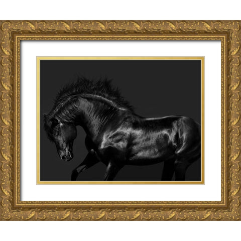 Black on Black Gold Ornate Wood Framed Art Print with Double Matting by Carter, Samantha