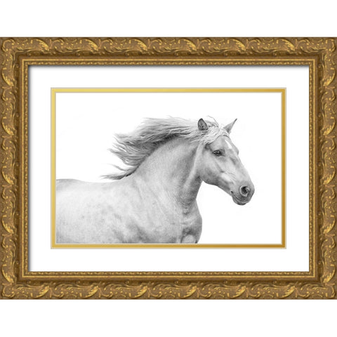 Solo I Gold Ornate Wood Framed Art Print with Double Matting by Carter, Samantha