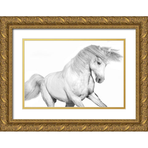 Solo II Gold Ornate Wood Framed Art Print with Double Matting by Carter, Samantha