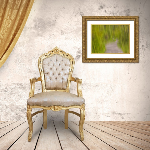 North America, Canada, Queen C Gold Ornate Wood Framed Art Print with Double Matting by Plank, Savanah