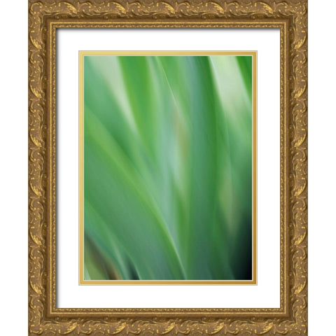 Green flora motion Gold Ornate Wood Framed Art Print with Double Matting by Plank, Savanah