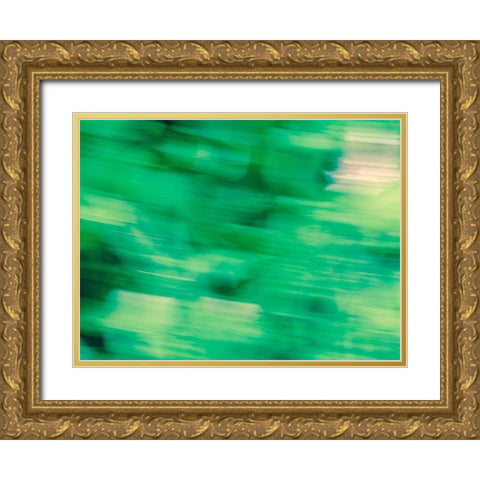 Flora Motion Gold Ornate Wood Framed Art Print with Double Matting by Plank, Savanah