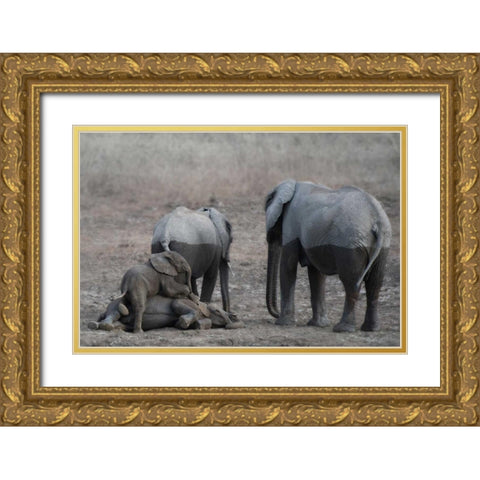 Brothers at Play Gold Ornate Wood Framed Art Print with Double Matting by Bennion, Scott