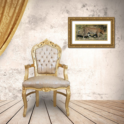 Leopard Hunting Gold Ornate Wood Framed Art Print with Double Matting by Bennion, Scott