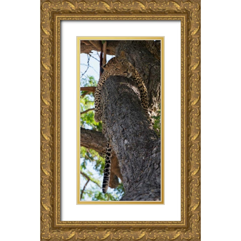 Sleeping Gold Ornate Wood Framed Art Print with Double Matting by Bennion, Scott