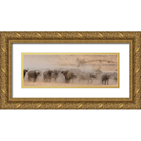 Spooked Buffalo Gold Ornate Wood Framed Art Print with Double Matting by Bennion, Scott