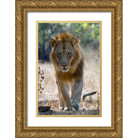 The King Gold Ornate Wood Framed Art Print with Double Matting by Bennion, Scott