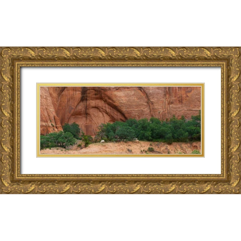 Wild Horses at Keet Seel Gold Ornate Wood Framed Art Print with Double Matting by Bennion, Scott