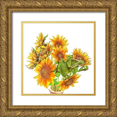 Sunflowers Gold Ornate Wood Framed Art Print with Double Matting by Reynolds, Richard