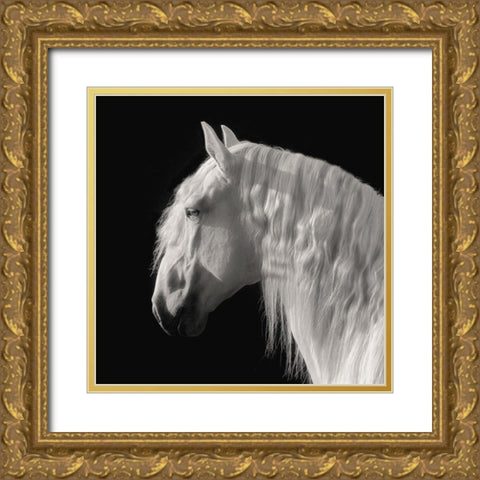 Contemplation Gold Ornate Wood Framed Art Print with Double Matting by Dawson, Robert