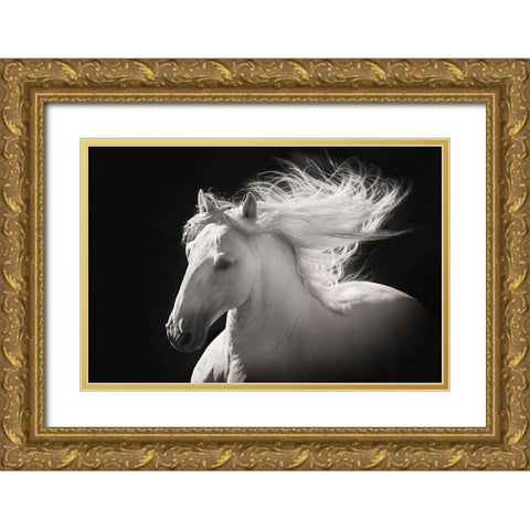Grey Ghost Gold Ornate Wood Framed Art Print with Double Matting by Dawson, Robert