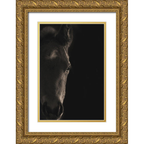 Look At Me Gold Ornate Wood Framed Art Print with Double Matting by Dawson, Robert