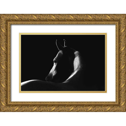 Moonlight Dreamer Gold Ornate Wood Framed Art Print with Double Matting by Dawson, Robert