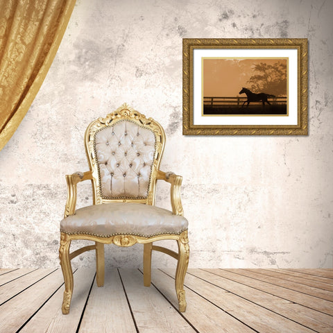 Headin For the Sun Gold Ornate Wood Framed Art Print with Double Matting by Dawson, Robert