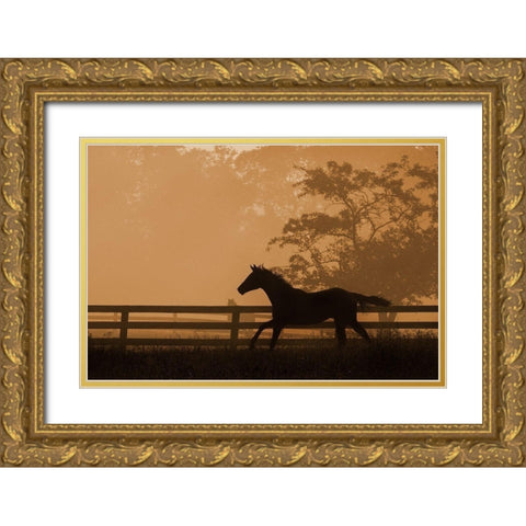 Headin For the Sun Gold Ornate Wood Framed Art Print with Double Matting by Dawson, Robert